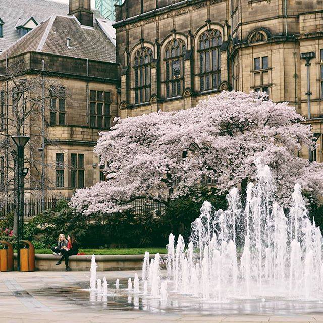 Du học Anh – 360 độ học bổng từ Đại học Sheffield